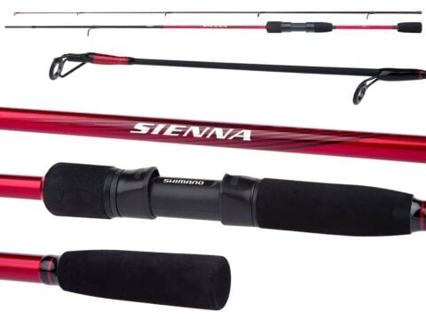 Shimano Sienna 240 Cm 10-35 Gr Spin Olta Kamışı